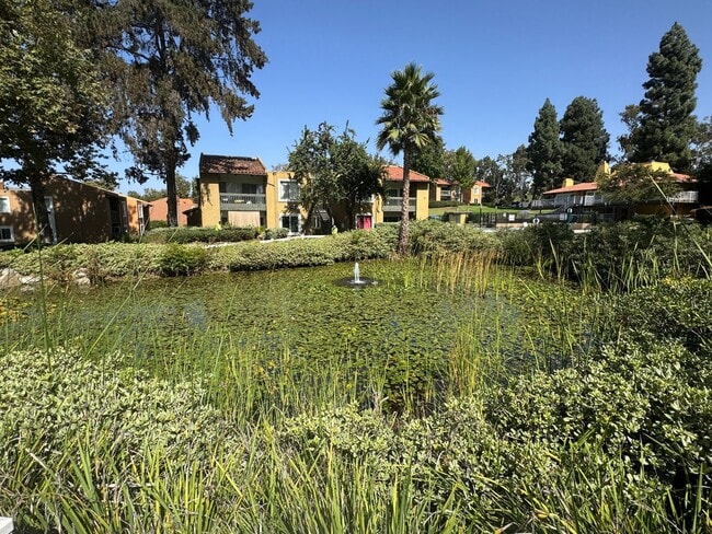 Building Photo - Rancho Bernardo Waterbridge Condos