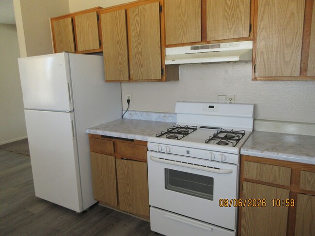 Building Photo - 437 Oasis Dr