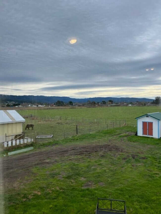 Building Photo - Marilann CT