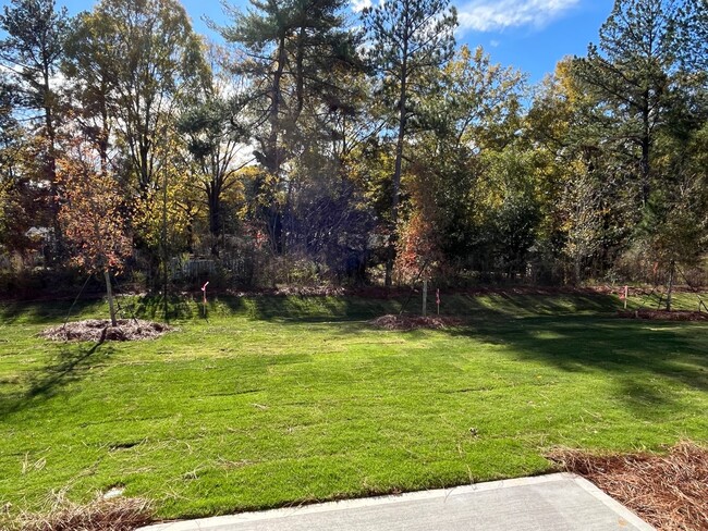 Building Photo - Brand New Townhome in Concord