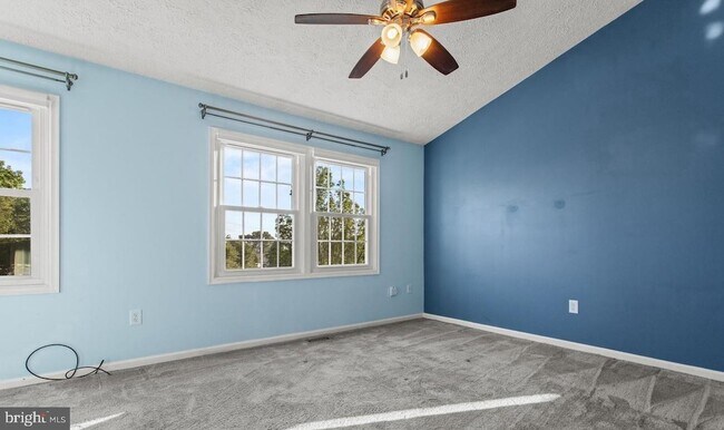 Building Photo - 6359 New Haven Ct
