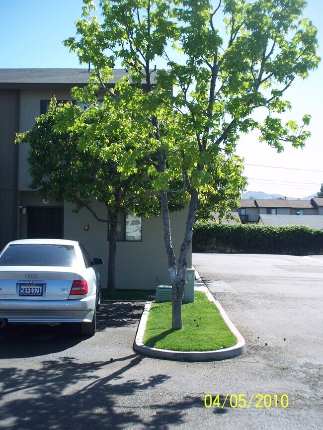 Interior Photo - Oro Park Apartments