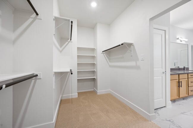 Building Photo - 24402 Colonial Willow Dr