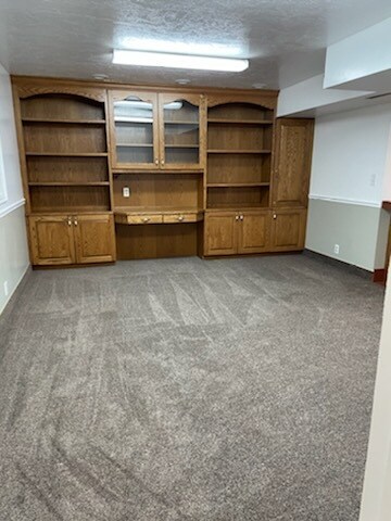 basement build in - 9261 S Shad Ln