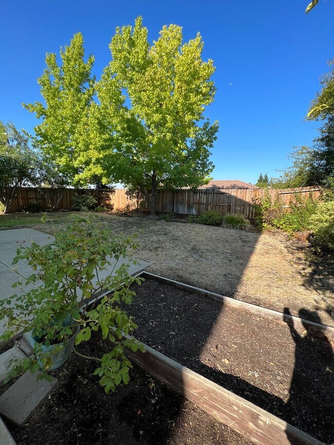 Building Photo - 1017 Halidon Way