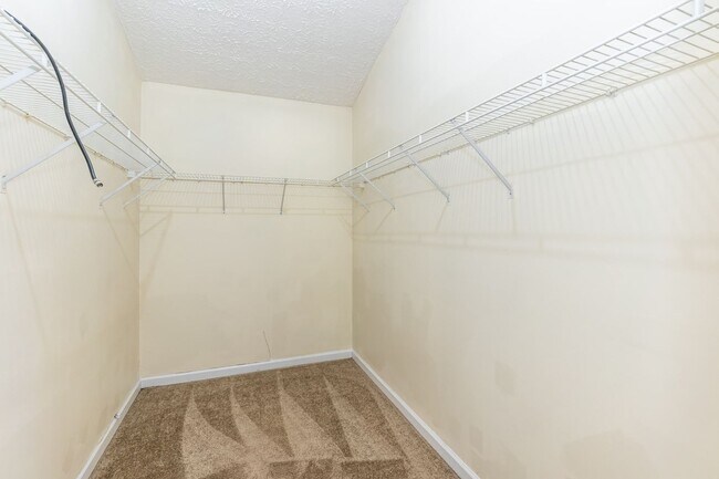 Building Photo - Wonderful 3 Bedroom Raleigh Ranch Home