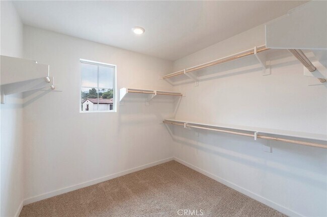 Building Photo - 3955 Satsuma Ln