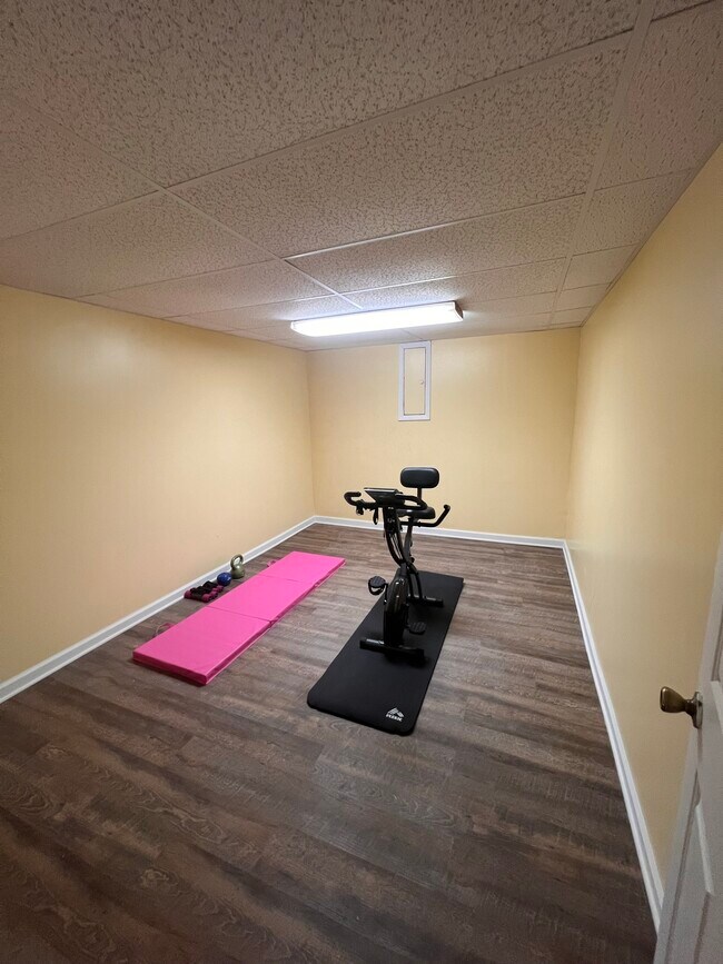 basement bonus room - 2672 Windy Xing