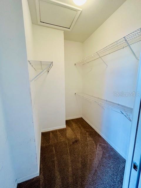 Building Photo - 1750 Coriander Dr