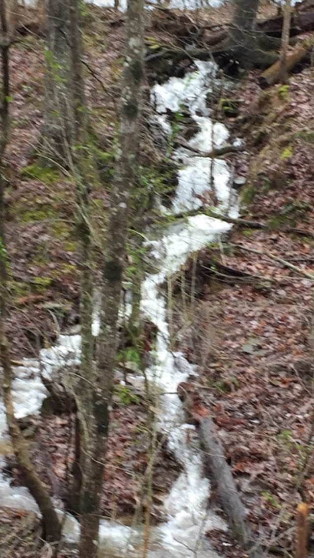 Building Photo - 9097 Griffith Rd