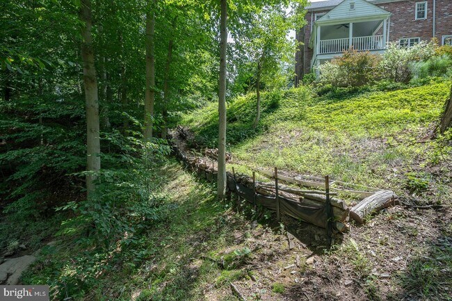 Building Photo - 337 Crum Creek Ln