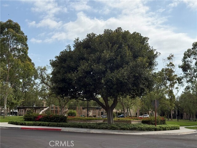 Building Photo - 75 Mission Bell