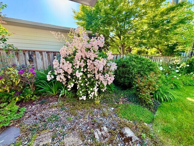 Building Photo - Spacious, Remodeled 5bd/3bath Cherry Park Home with Large Fenced Garden and Finished Basement