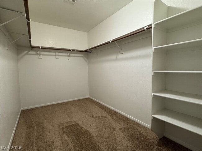 Building Photo - 5029 Ivy Creek Ct