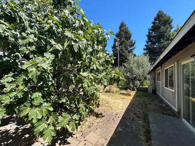 Building Photo - 3 Mefford Way