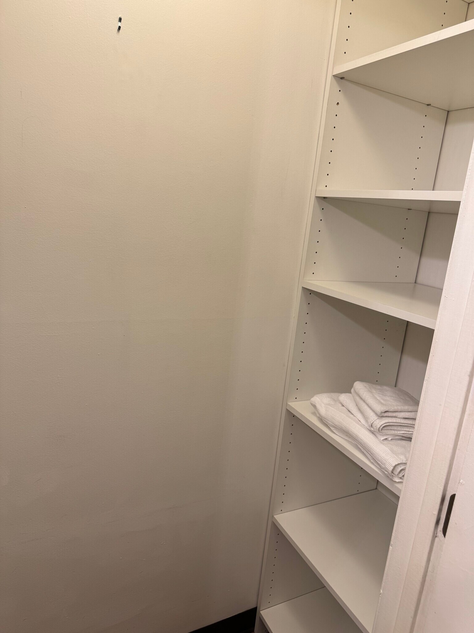 Walk-in closet in bathroom - 9 Northbrook Dr