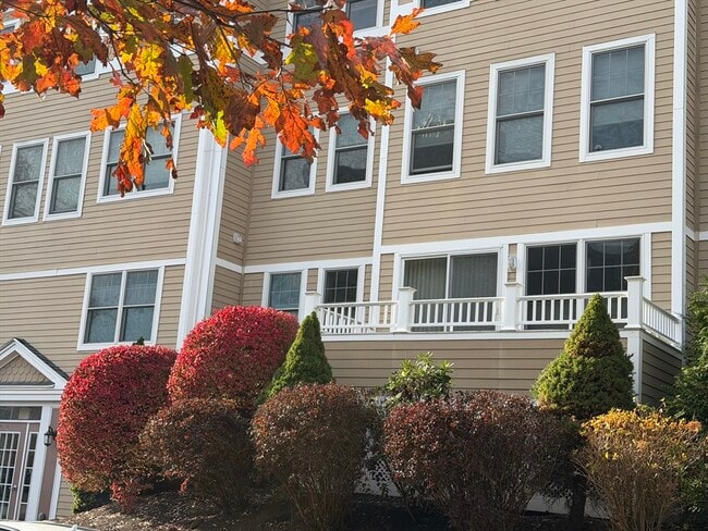 Building Photo - 11 Cheriton Rd