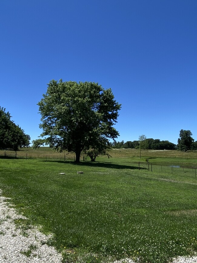 Building Photo - 20698 Wilkes Creek Rd