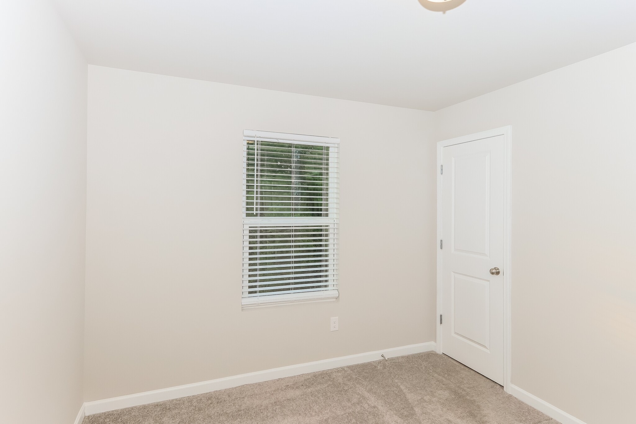 Building Photo - 1613 Pauli Dr