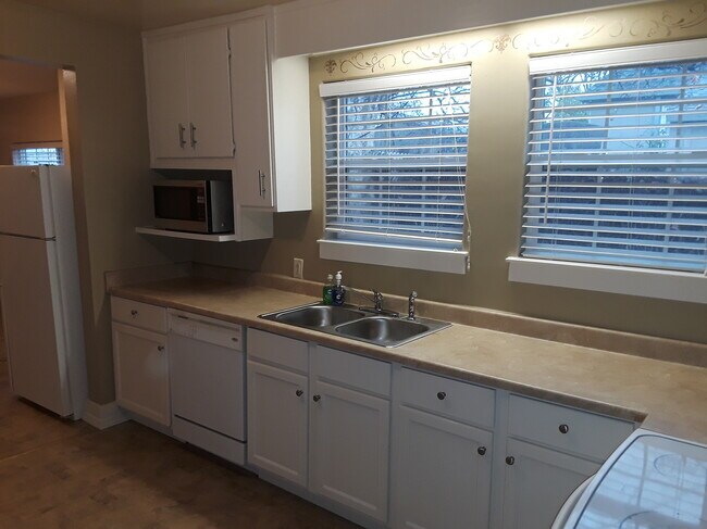 Kitchen sink, micro & fridge - 608 Elefa St