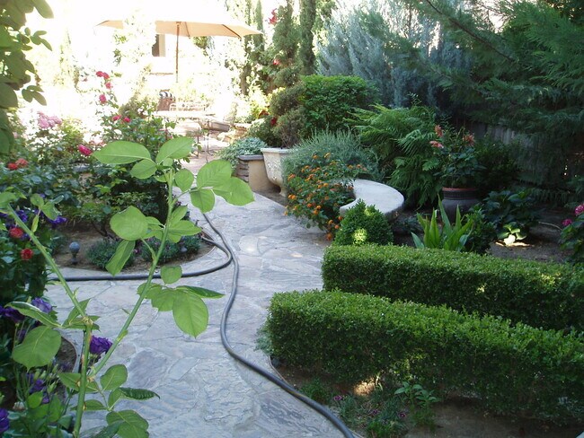 Building Photo - Beautiful 3 Bedroom 3 Bath home in Clovis