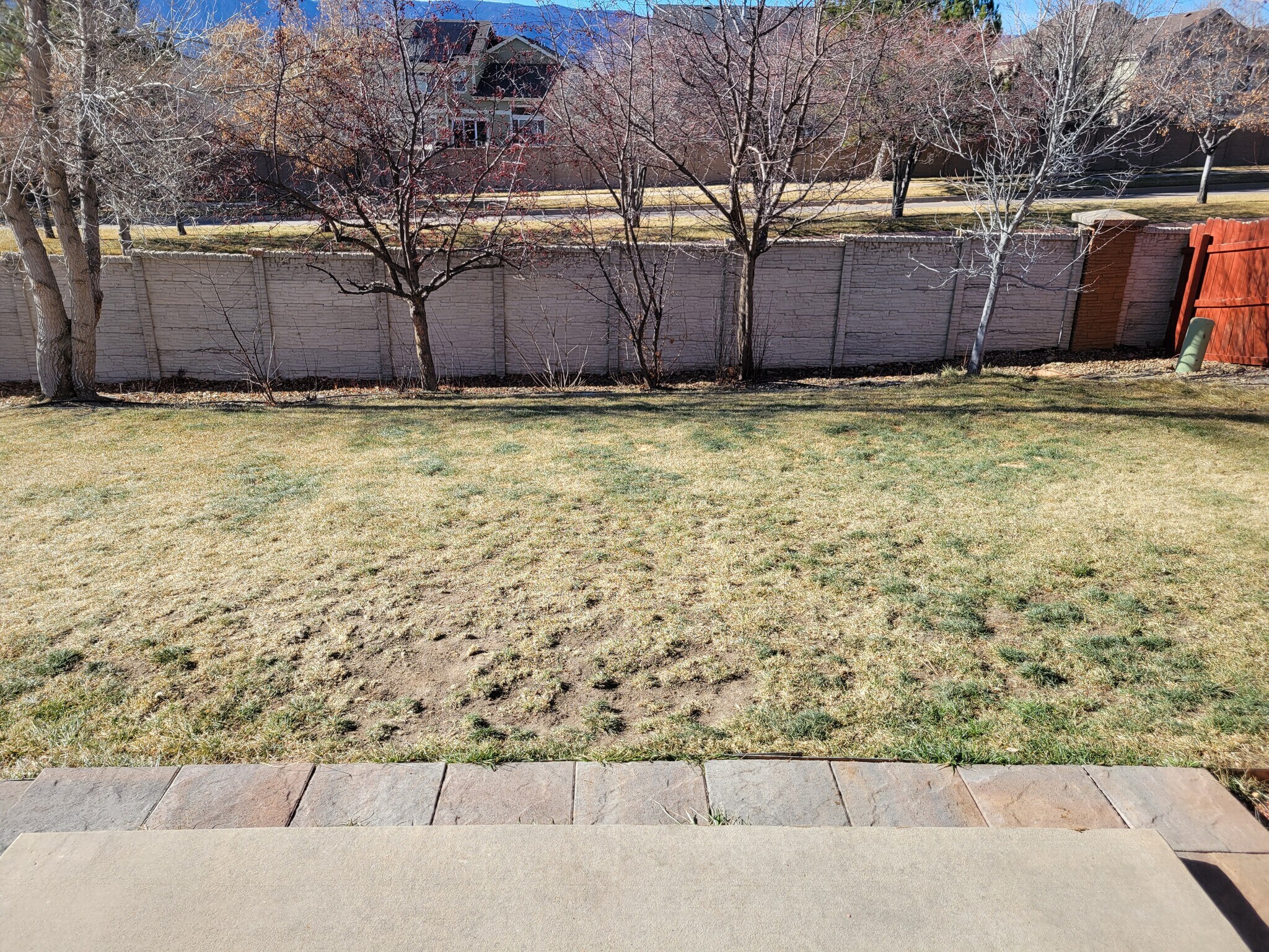 Building Photo - 13712 Narrowleaf Dr