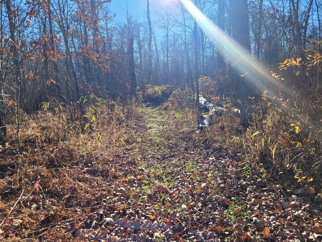 Building Photo - Three Bedroom 2.5 Bath House