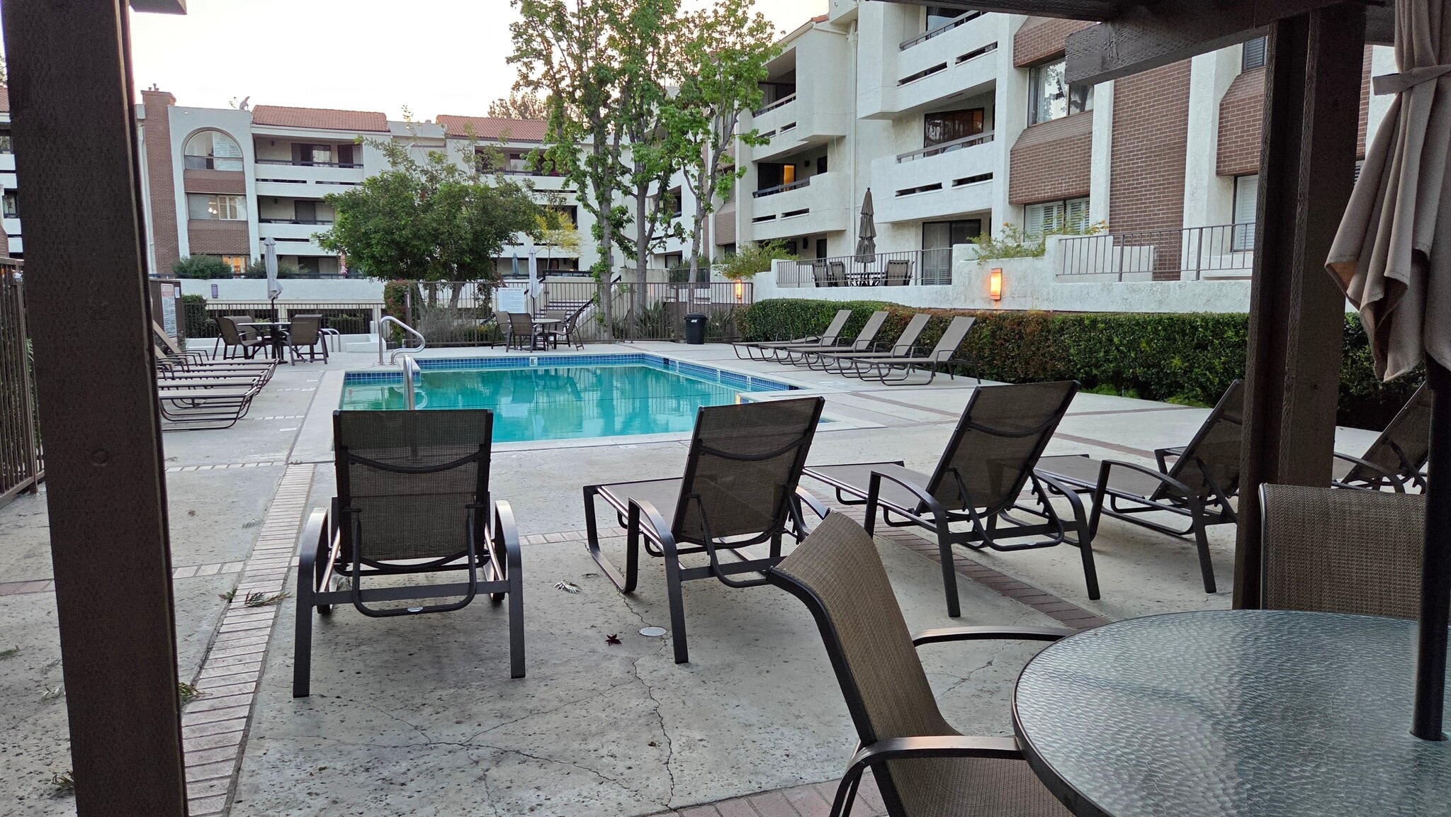 Pool Area - 21620 Burbank Blvd