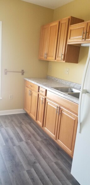 Updated kitchen - 212 E Main St