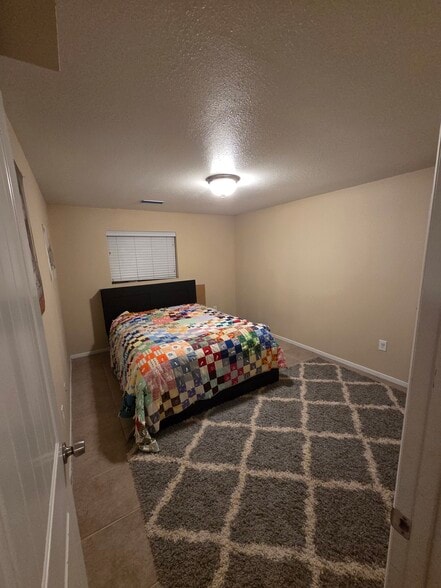 Basement Bedroom - 4701 S Turnberry Pl
