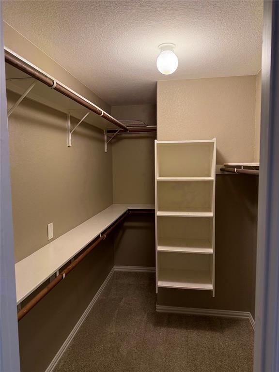 Building Photo - 419 Strawberry Blonde Dr