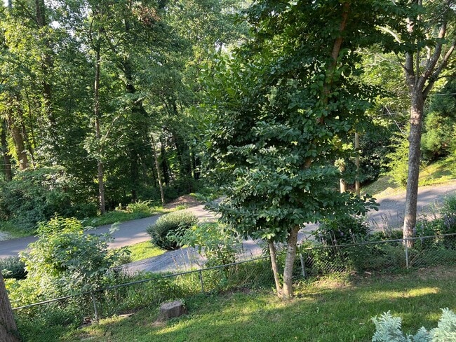 Building Photo - 3 bed / 2 bath in South Asheville
