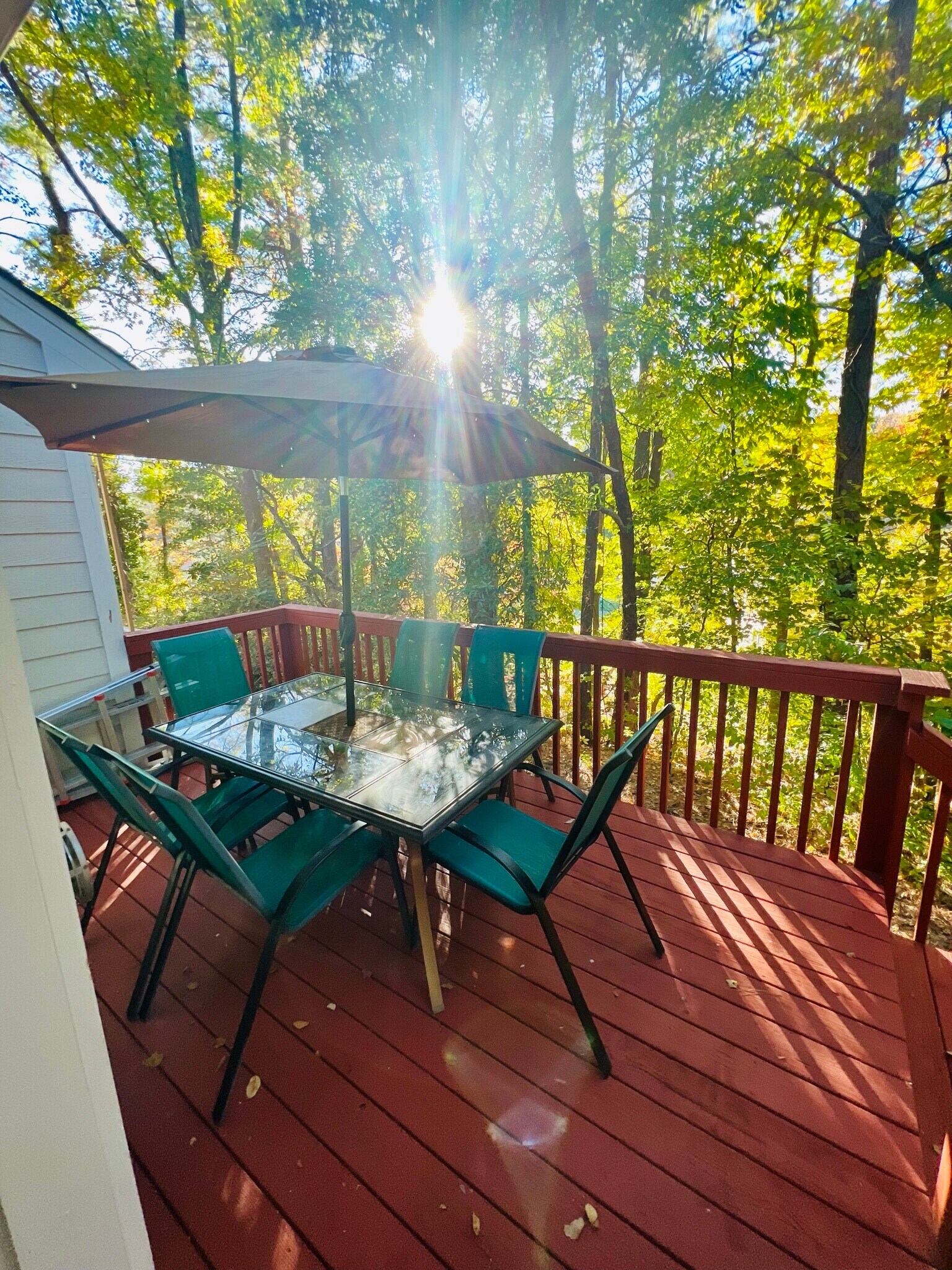 Newly painted Deck - 5403 Picket Fence Ln