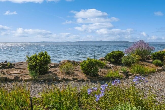 Building Photo - 1 bedroom in Des Moines WA 98168