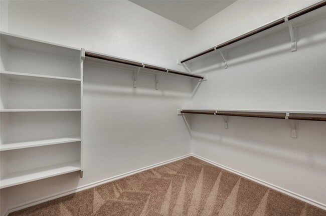 Building Photo - 1012 Lake Meadow Ln