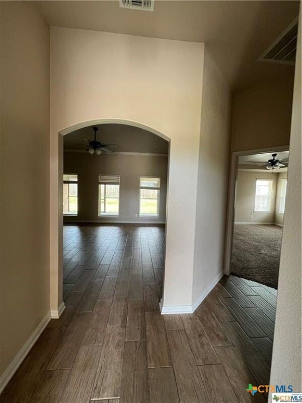 Building Photo - 2638 Bolzano Trl