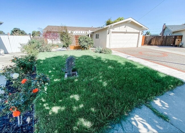 Primary Photo - BEAUTIFUL HOME IN DESIREABLE CENTERVILLE, ...