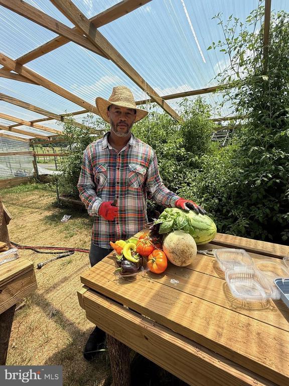 Building Photo - 1573 Garrisonville Rd