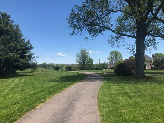 Building Photo - Kentucky mansion overlooking horse farm with stunning views    260323