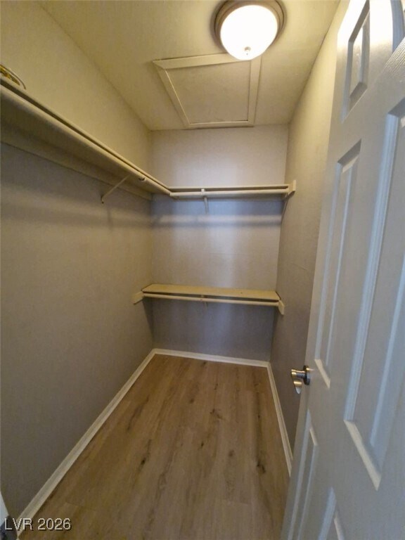 Building Photo - 1455 E Katie Ave