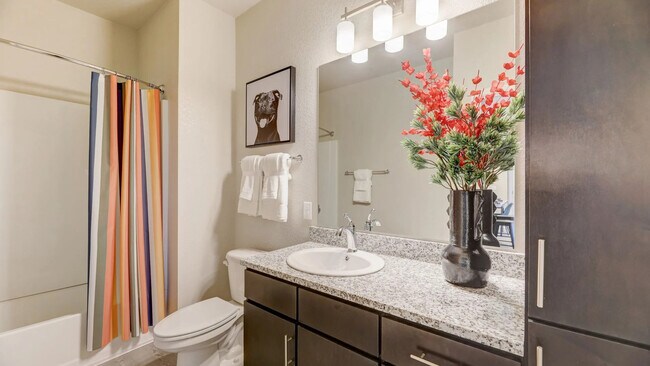 Building Photo - Springs at Stadium Village