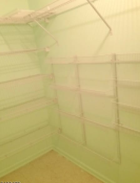 Building Photo - 272 Potomac Dr