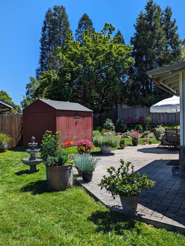 Building Photo - Unfurnished Light-Filled, Beautifully Updated 3-Bedroom Home in Jacksonville