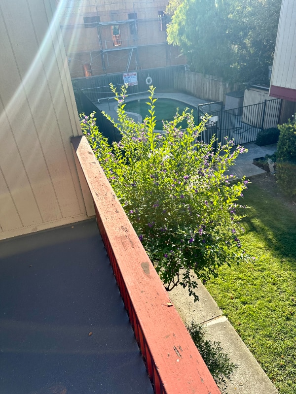 Building Photo - 447 Oak Ave