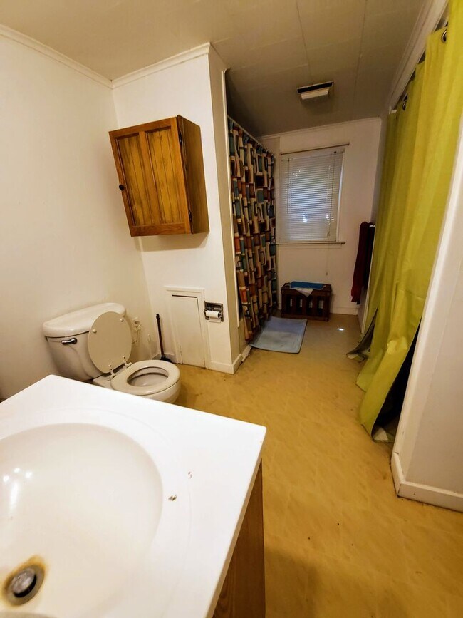 Building Photo - Rare pet-friendly downtown rental with off street parking and fenced yard!