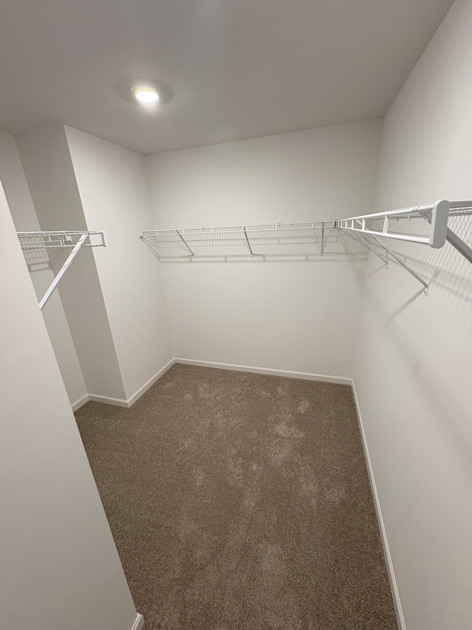 Building Photo - 212 Paisley Way