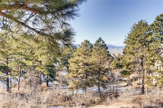 Building Photo - 1696 Ave Del Sol