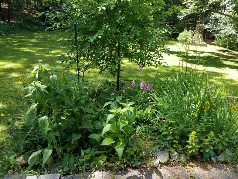 Backyard - 228 Newburyport Tpke