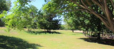 Building Photo - 118 Larkspur Ln