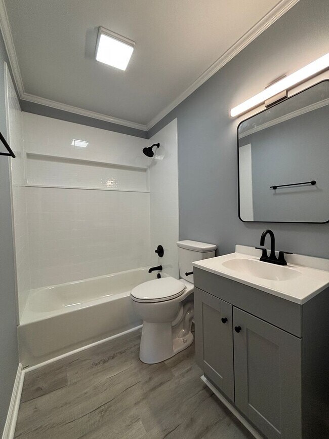 Building Photo - Newly Renovated!